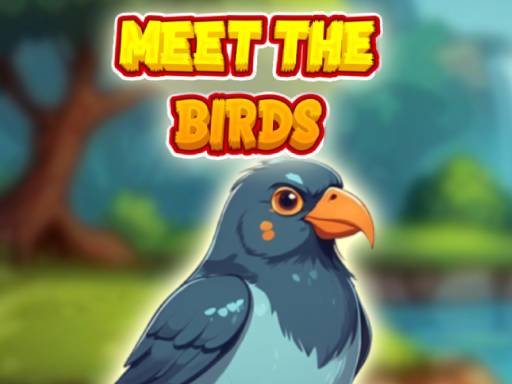 Meet The Birds thumbnail