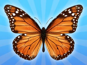 MergeButerfly: 2048!