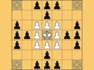 Tafl: viking chess